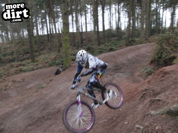 Delamere Forest Mountain Bike Trails