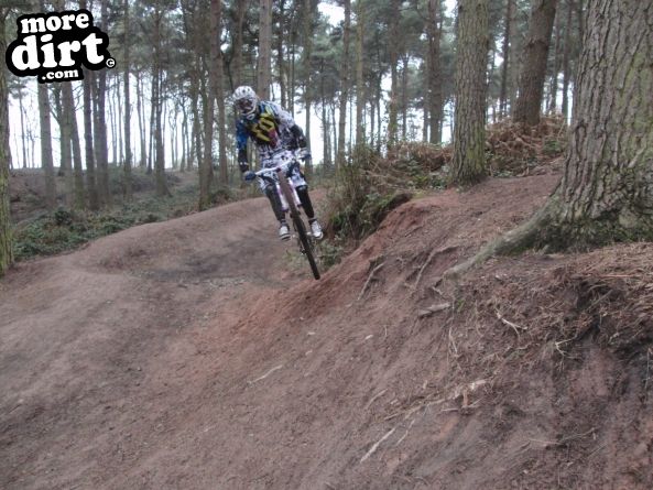 Delamere Forest Mountain Bike Trails
