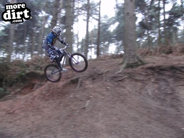 Delamere Forest Mountain Bike Trails