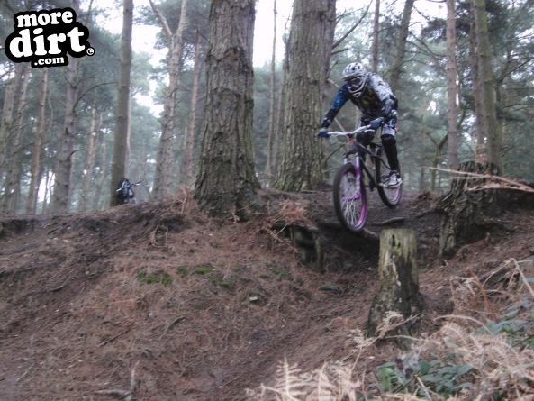 Delamere Forest Mountain Bike Trails