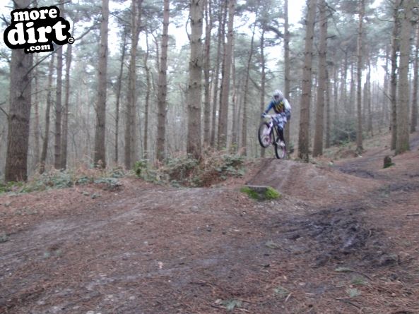 Delamere Forest Mountain Bike Trails