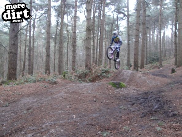 Delamere Forest Mountain Bike Trails