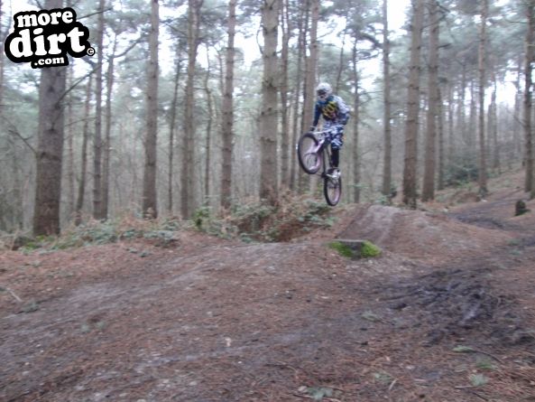 Delamere Forest Mountain Bike Trails