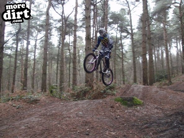 Delamere Forest Mountain Bike Trails