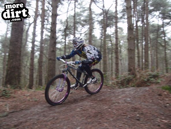 Delamere Forest Mountain Bike Trails