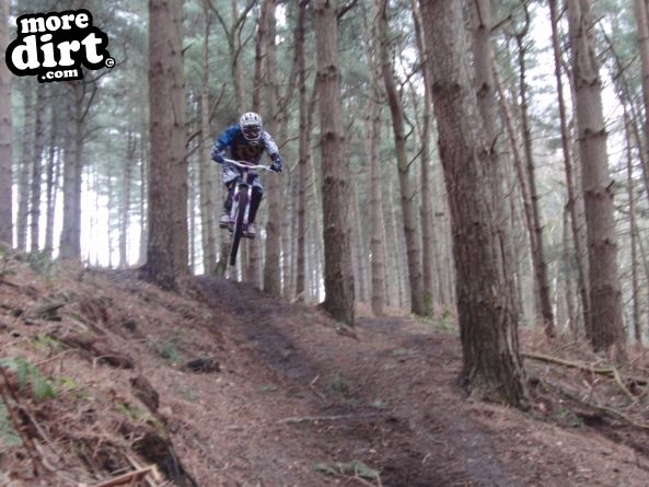 Delamere Forest Mountain Bike Trails