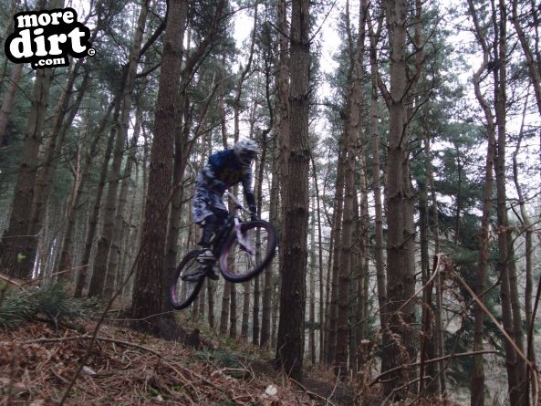 Delamere Forest Mountain Bike Trails