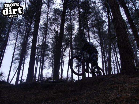 Delamere Forest Mountain Bike Trails
