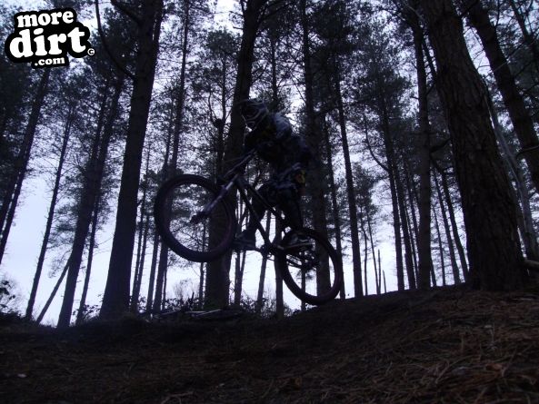Delamere Forest Mountain Bike Trails