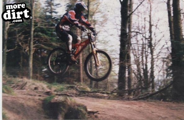 Bringewood DH