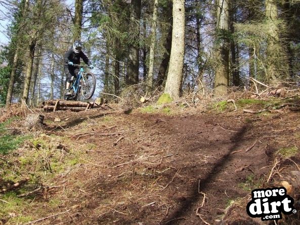 Kustom Bikes Uplift Day 13/03/2011