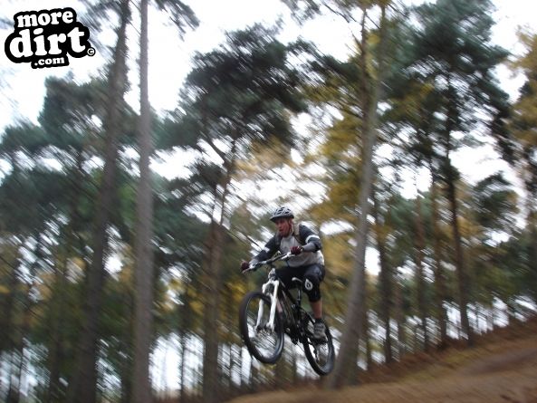 Chicksands Bike Park