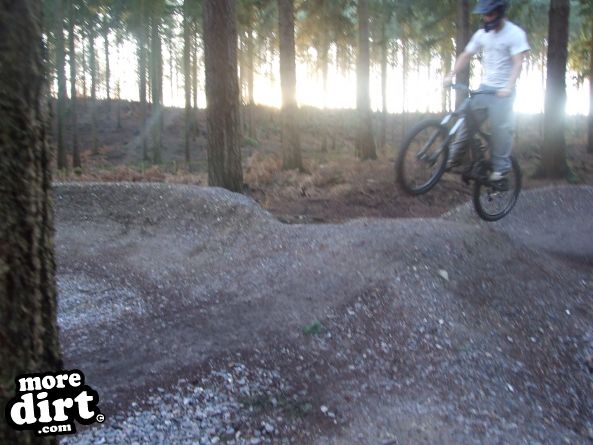 Watchmoor Wood Mountain Bike Park