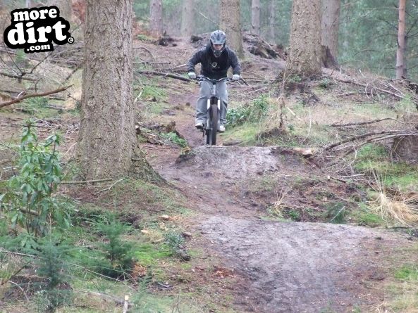 Watchmoor Wood Mountain Bike Park