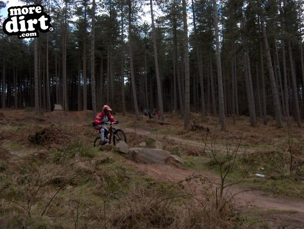 Sherwood Pines Bike Park