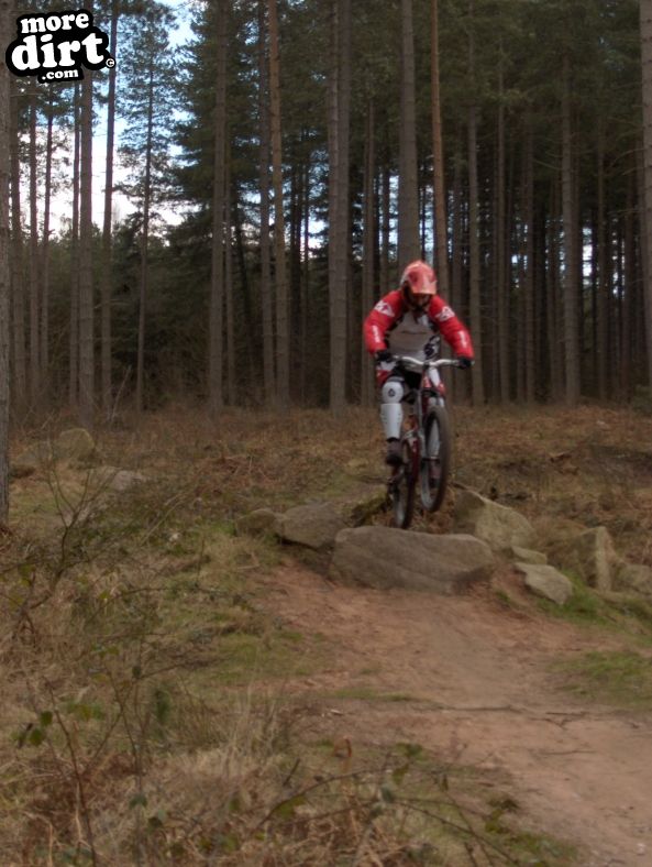 Sherwood Pines Bike Park
