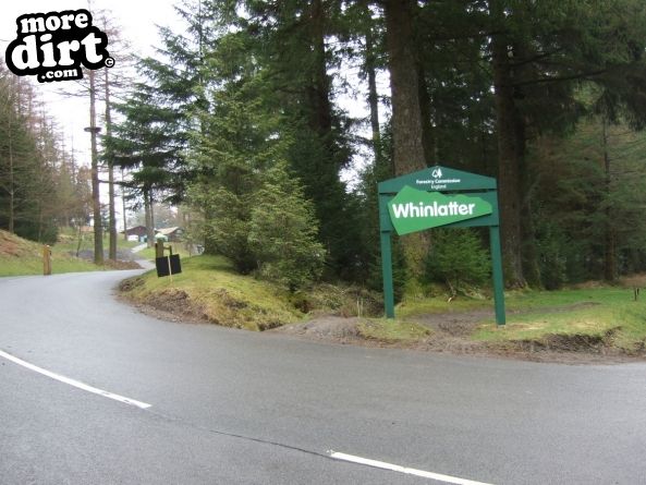 Altura Trail - Whinlatter Forest