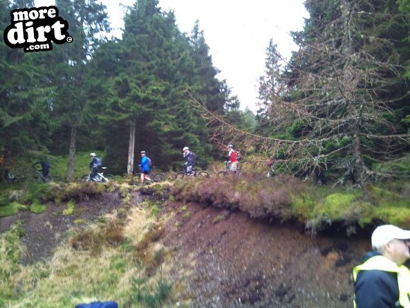Altura Trail - Whinlatter Forest