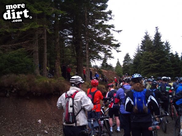 Altura Trail - Whinlatter Forest