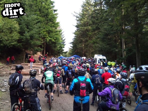 Altura Trail - Whinlatter Forest