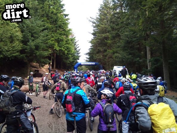 Altura Trail - Whinlatter Forest