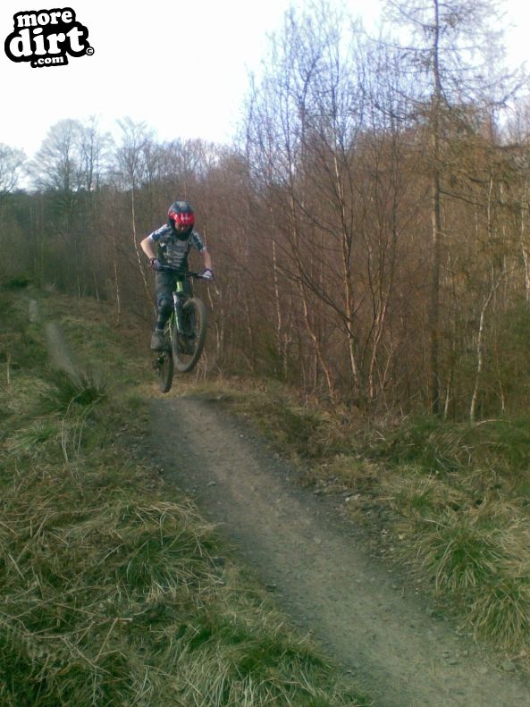 Powerline Trail - Chopwell