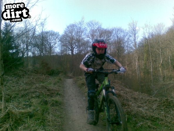 Powerline Trail - Chopwell