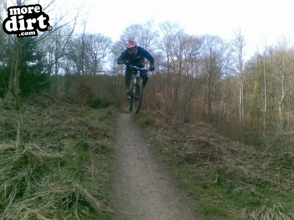 Powerline Trail - Chopwell
