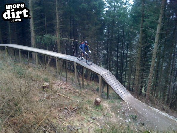 Black Trail - Coed Llandegla Forest