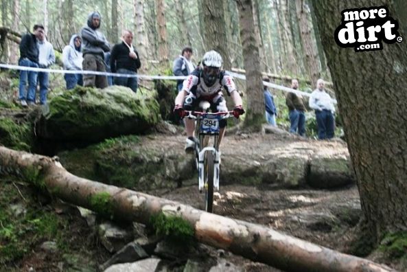 Rostrevor - On The Pulse