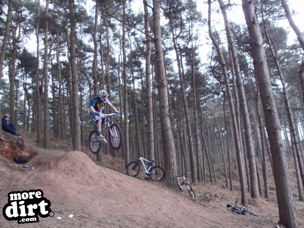 Delamere Forest Mountain Bike Trails