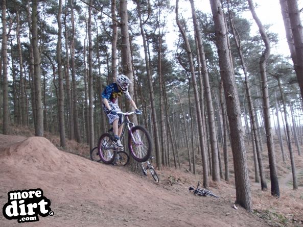 Delamere Forest Mountain Bike Trails