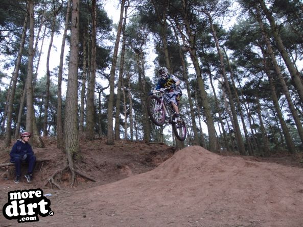 Delamere Forest Mountain Bike Trails