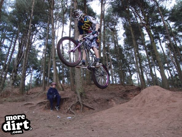 Delamere Forest Mountain Bike Trails