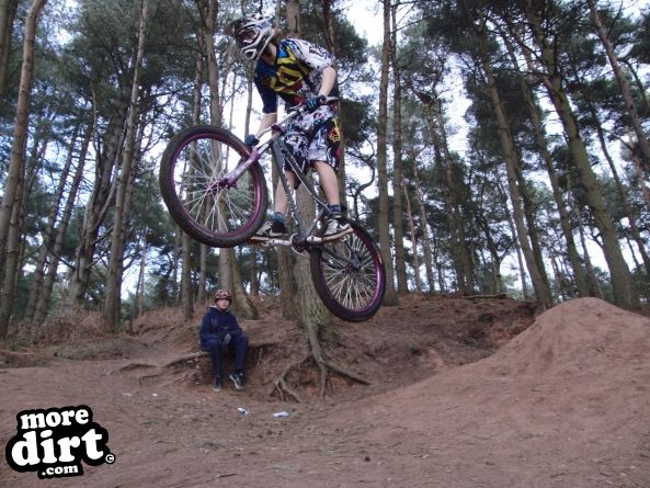 Delamere Forest Mountain Bike Trails