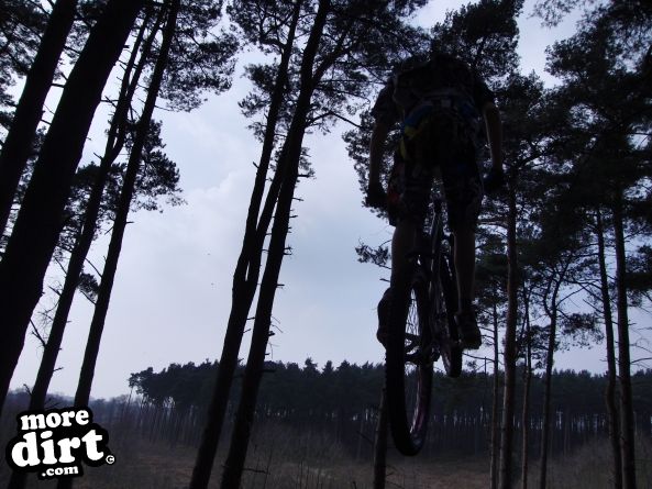 Delamere Forest Mountain Bike Trails