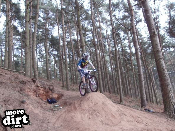 Delamere Forest Mountain Bike Trails