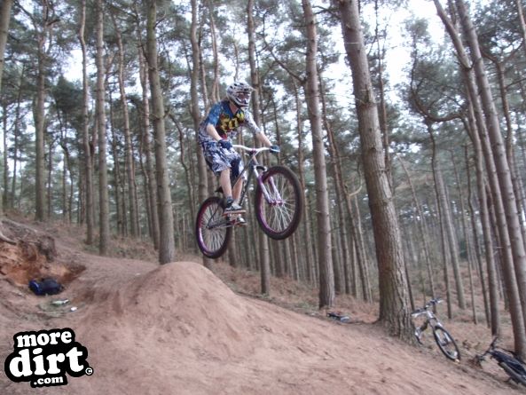 Delamere Forest Mountain Bike Trails