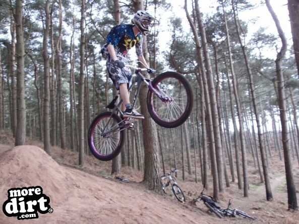 Delamere Forest Mountain Bike Trails