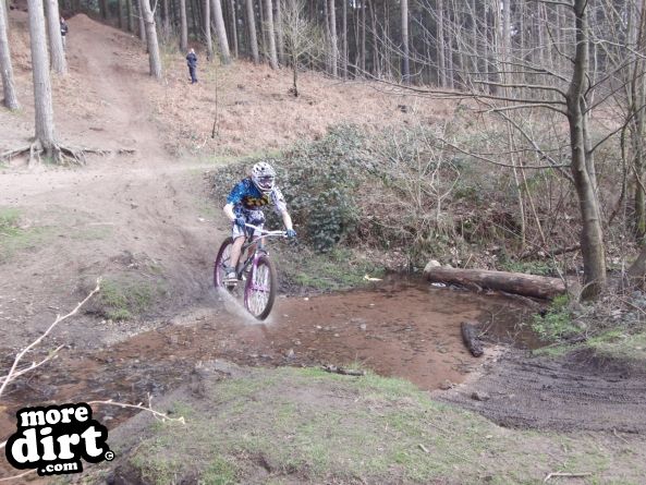 Delamere Forest Mountain Bike Trails