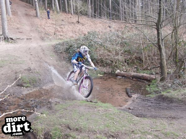 Delamere Forest Mountain Bike Trails
