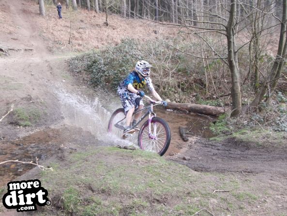 Delamere Forest Mountain Bike Trails