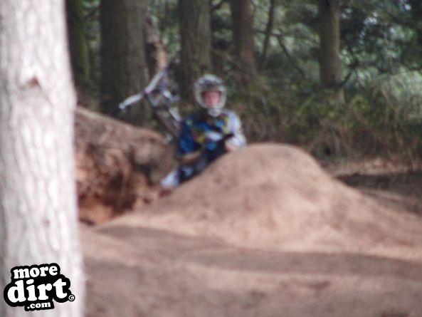 Delamere Forest Mountain Bike Trails