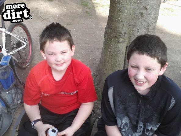 Follow the Dog Trail - Cannock Chase