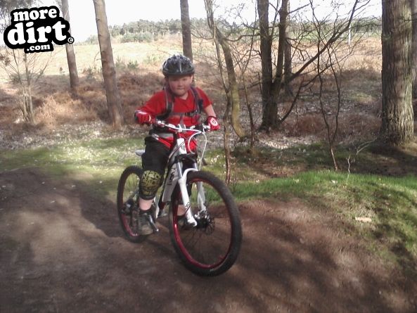 Follow the Dog Trail - Cannock Chase