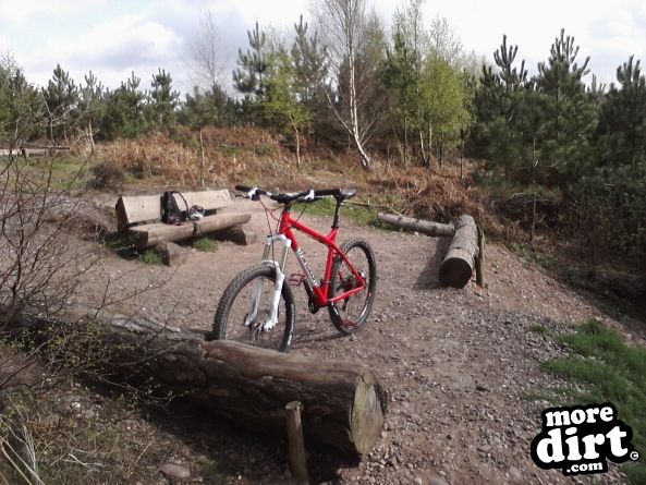 Monkey Trail - Cannock Chase