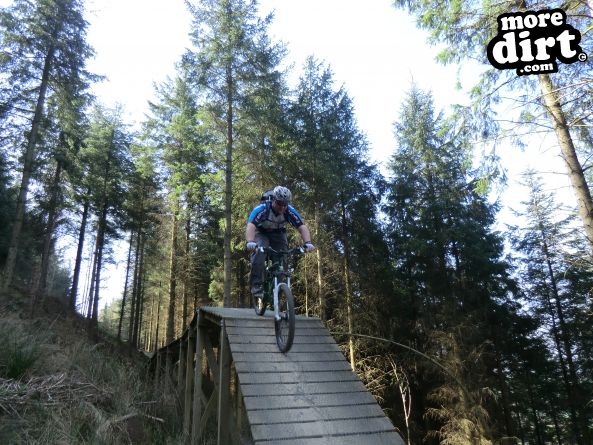 Black Trail - Coed Llandegla Forest