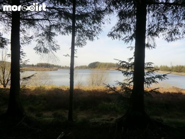 Black Trail - Coed Llandegla Forest