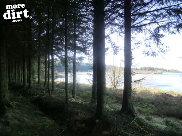 Black Trail - Coed Llandegla Forest