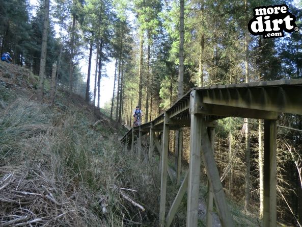 Black Trail - Coed Llandegla Forest